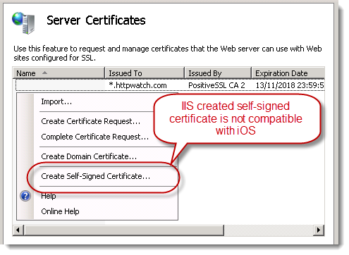 IIS Self Signed Certificate